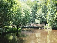 IMG_20250611_143721367