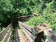 IMG_20250611_143302539_HDR