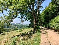 IMG_20250611_120816980_HDR