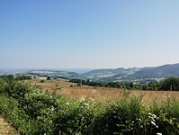 IMG_20250611_103908431