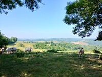 IMG_20250611_102903280_HDR