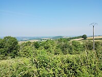 IMG_20250611_101804865