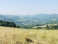 IMG_20250611_085029030