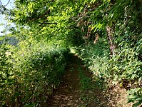IMG_20250611_084241954_HDR