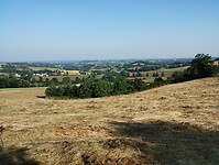 IMG_20250611_083039572