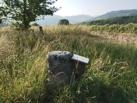 IMG_20250611_082618553