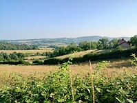 IMG_20250611_081858658_HDR