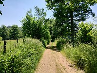 IMG_20250611_134255284_HDR