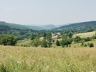 IMG_20250612_153406904