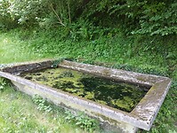 IMG_20250612_115252456