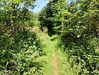 IMG_20250612_111140538_HDR
