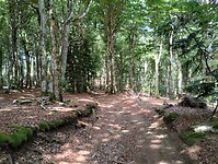 IMG_20250612_105943524_HDR