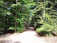 IMG_20250612_104530051