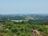IMG_20250612_100533703