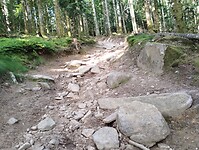 IMG_20250612_084749979
