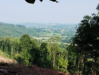 IMG_20250612_082404126