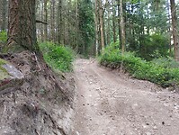 IMG_20250612_081844024