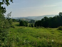 IMG_20250612_080721341_HDR