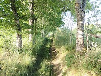 IMG_20250612_080127076