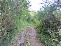 IMG_20250612_075454866_HDR