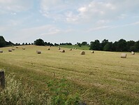IMG_20250612_071112726