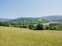 IMG_20250613_115507334