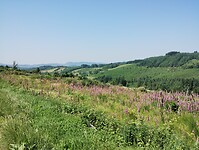 IMG_20250613_114420901