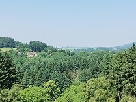 IMG_20250613_114128751