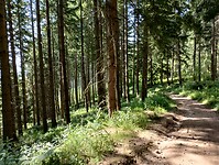 IMG_20250613_112238524_HDR