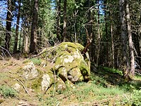 IMG_20250613_111516342_HDR
