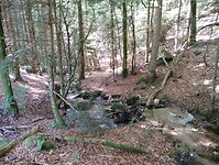 IMG_20250613_101527987