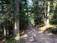 IMG_20250613_095951234_HDR