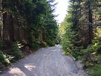 IMG_20250613_094040208_HDR