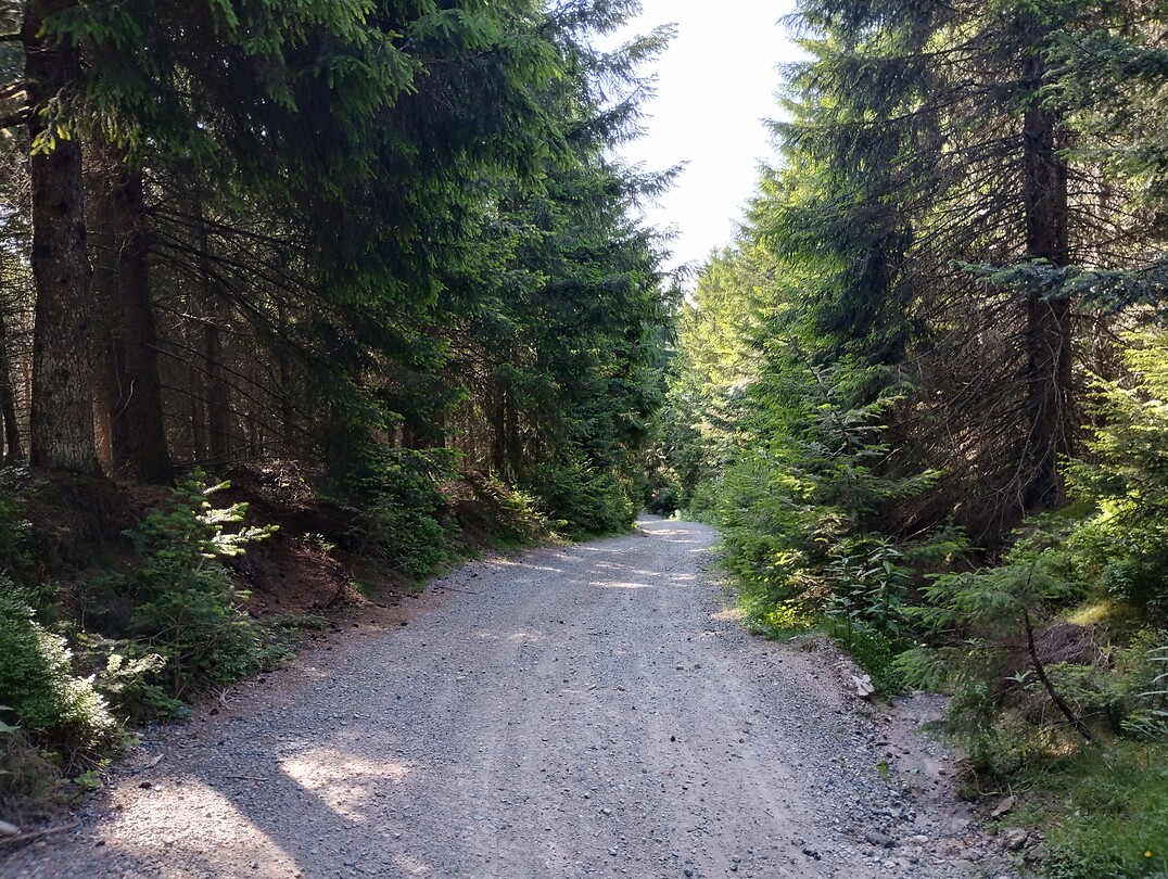 IMG_20250613_094040208_HDR