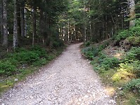 IMG_20250613_074553490