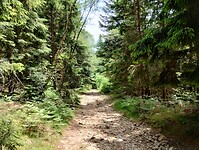 IMG_20250614_132656681_HDR