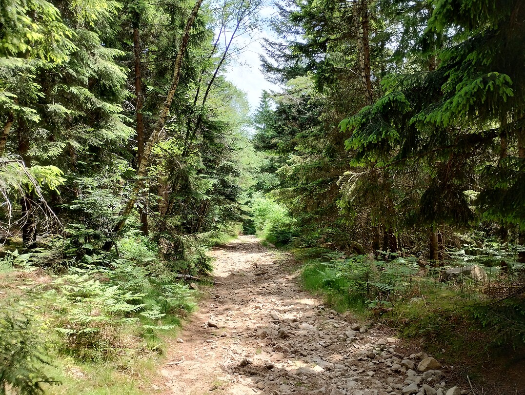 IMG_20250614_132656681_HDR