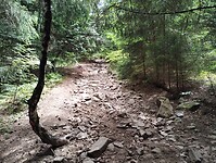 IMG_20250614_130144431