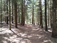 IMG_20250614_125455829
