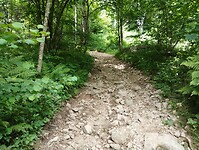 IMG_20250614_124715823