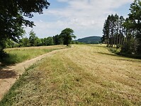IMG_20250614_110245541