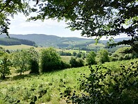 IMG_20250614_102146250_HDR