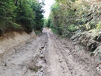 IMG_20250614_085601923