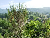 IMG_20250614_084120926