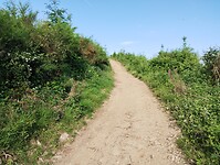IMG_20250614_083908338