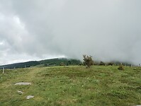 IMG_20250615_152608061