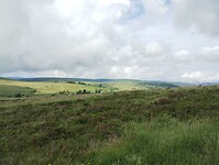 IMG_20250615_152030027