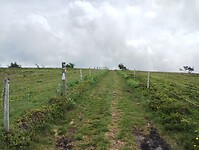 IMG_20250615_150210849