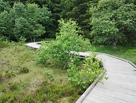 IMG_20250615_141550218
