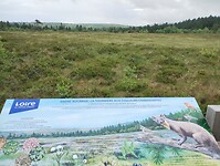 IMG_20250615_141422464